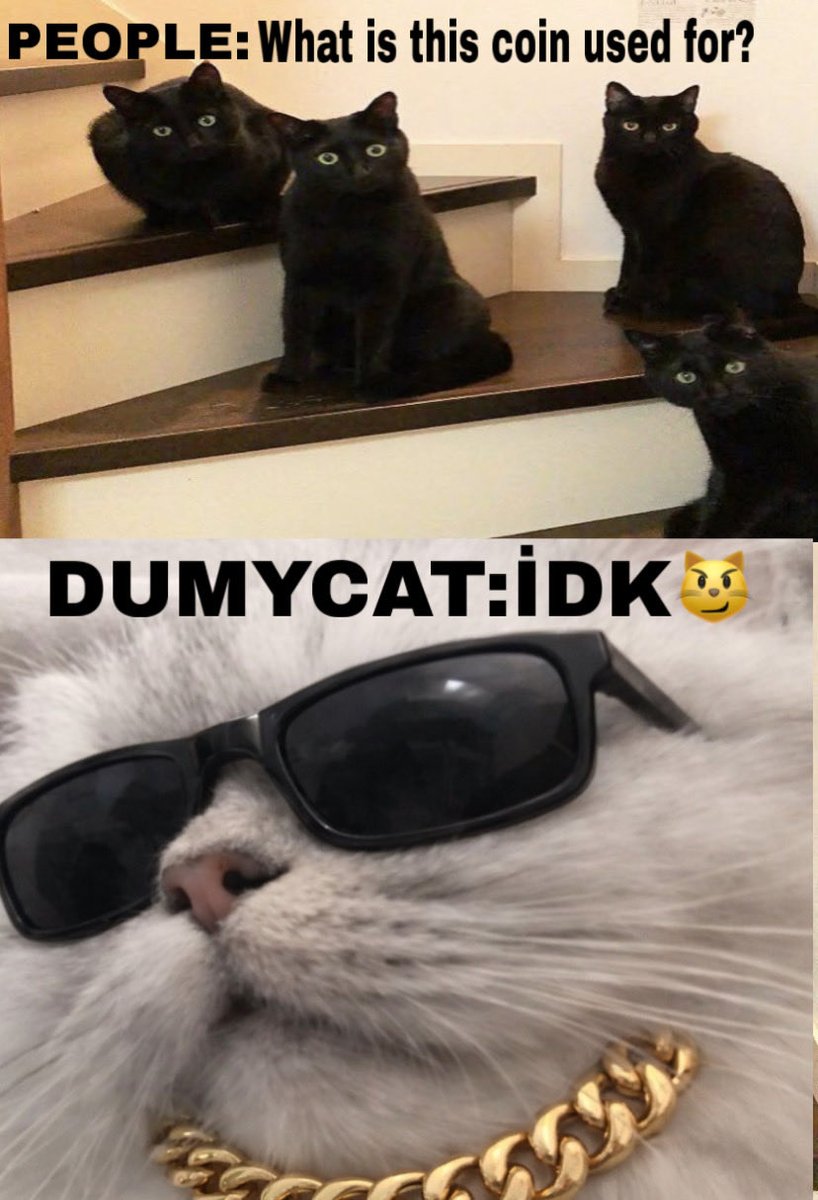 PEOPLE: What is this coin used for? 😭

DUMYCAT: idk bro just buy more $DUMYCAT 🐱💎

61awrUG7zWVVgtXrGWHQGEWEDejeRCNus9NyP8xBpump
#DUMYCAT #Solana