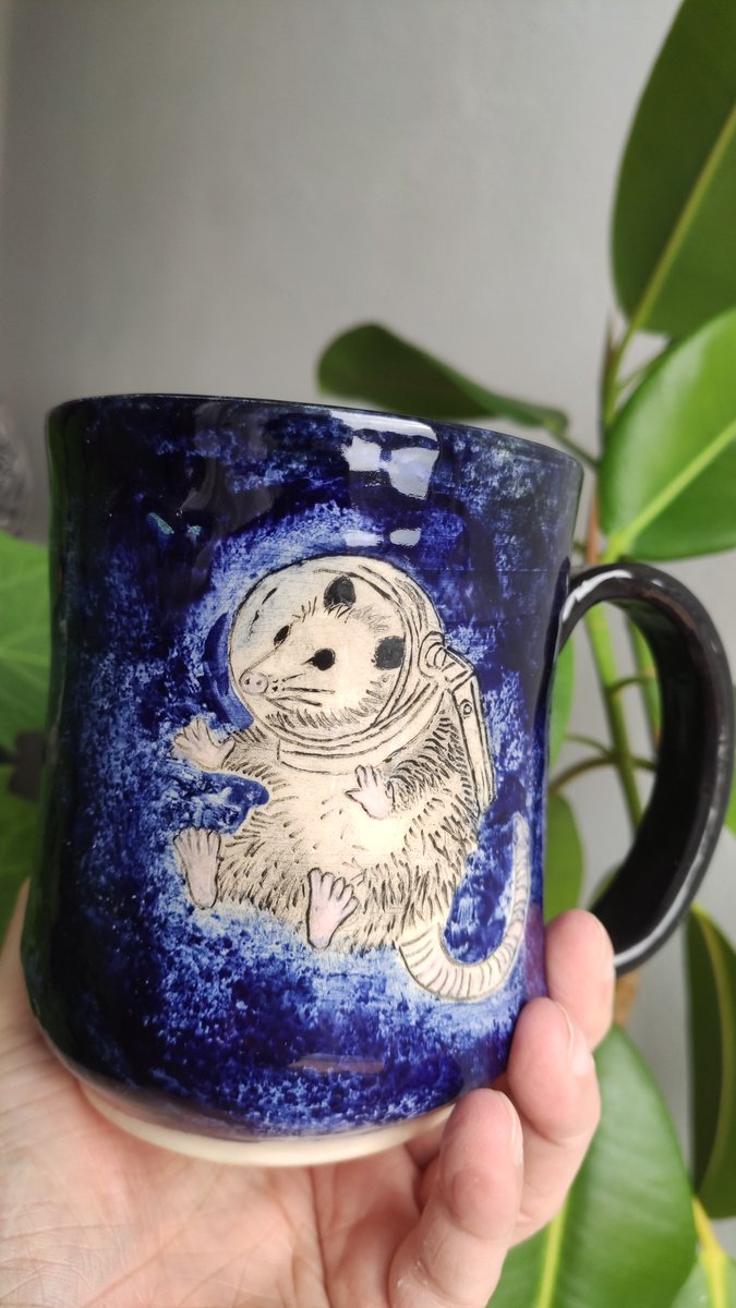 wszyscy wiemy, że drugim Polakiem, a pierwszym oposem w kosmosie był dr Oposław Próżniowski znany również jako O’Possimus Prime i nigdy nie zapomnimy jego słów do rodaków, wypowiedzianych  z ISS Trashbin 4: "szkoda, że nie widzicie tego śmietnika".