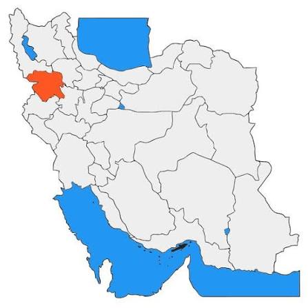 Piishgoo🇮🇷 tweet media