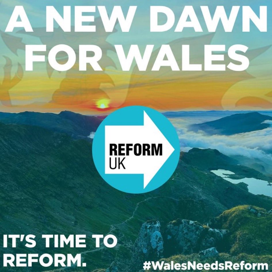 Astrantia tweet media