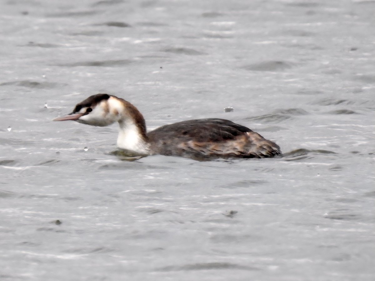 Gary Stones tweet media