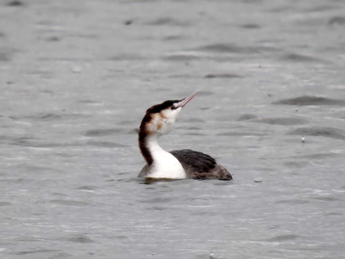 Gary Stones tweet media