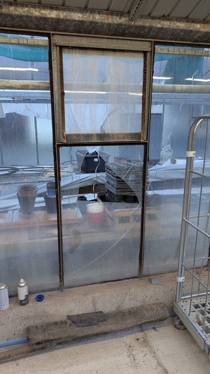 BackupSRT tweet media