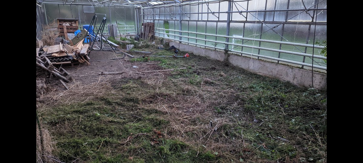 BackupSRT tweet media