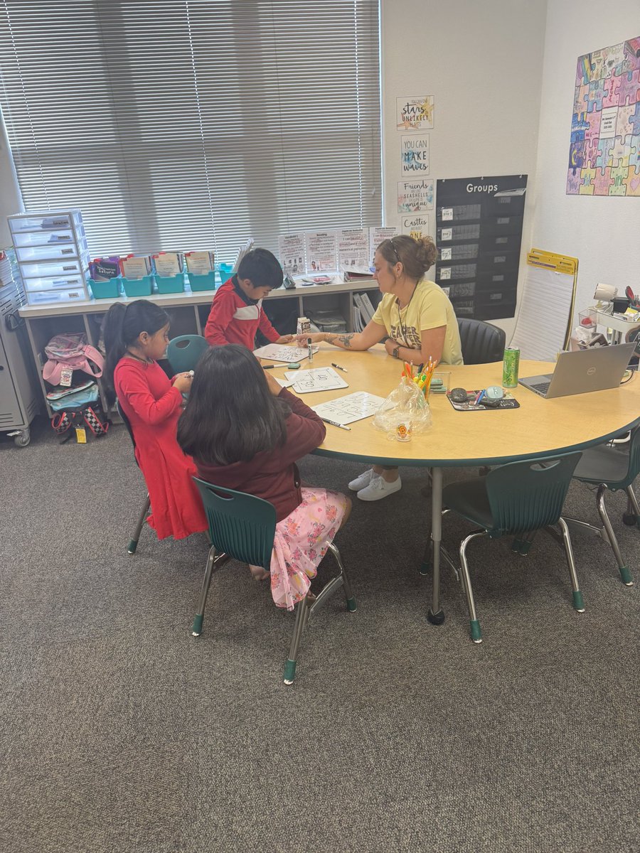 Manatee Elementary tweet media