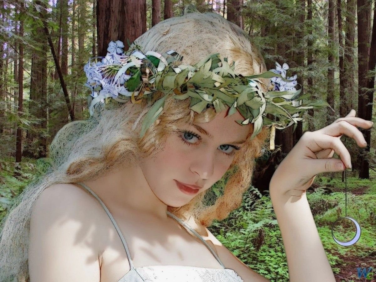 Forest_Mother tweet media