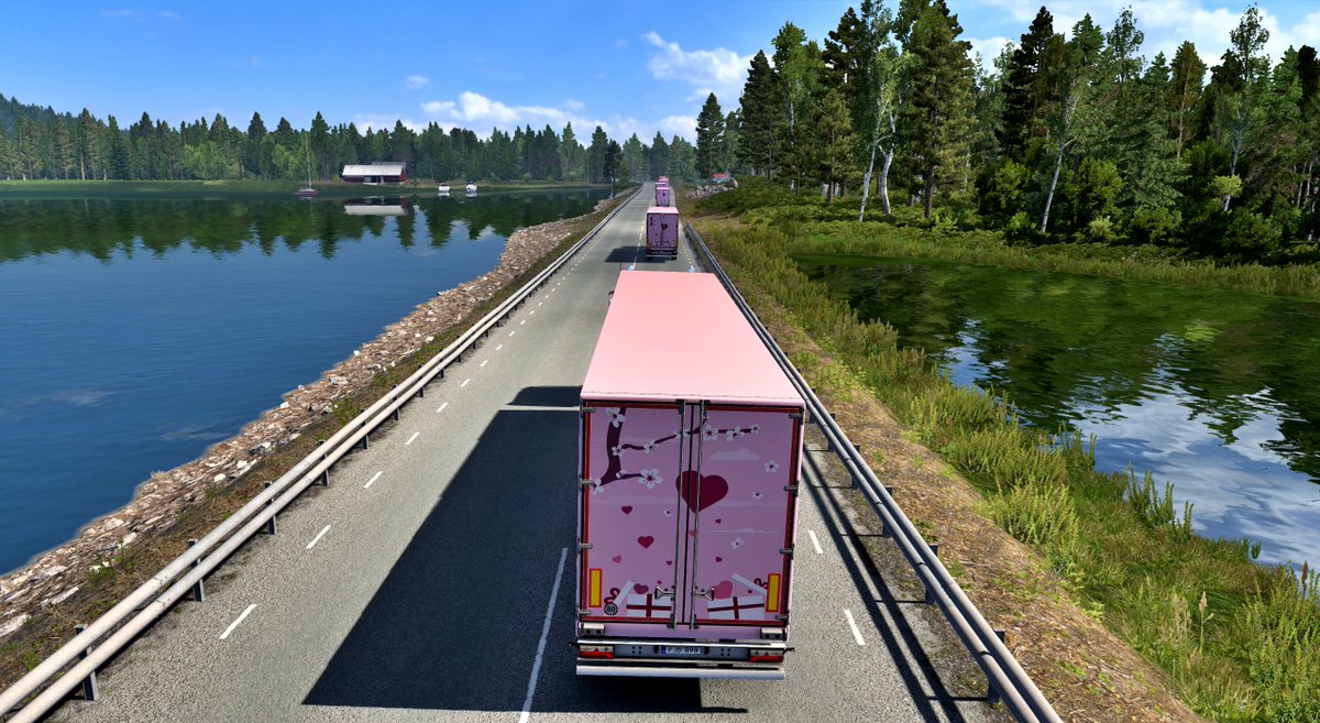 David0Connor's tweet photo. 2/2 #CruisingNordicHorizons #HeartsOfBloom #eurotrucksimulator2 #gaming #ets2 #tmp #truckersmp #BestCommunityEver https://t.co/iZqZ1O0ucT
