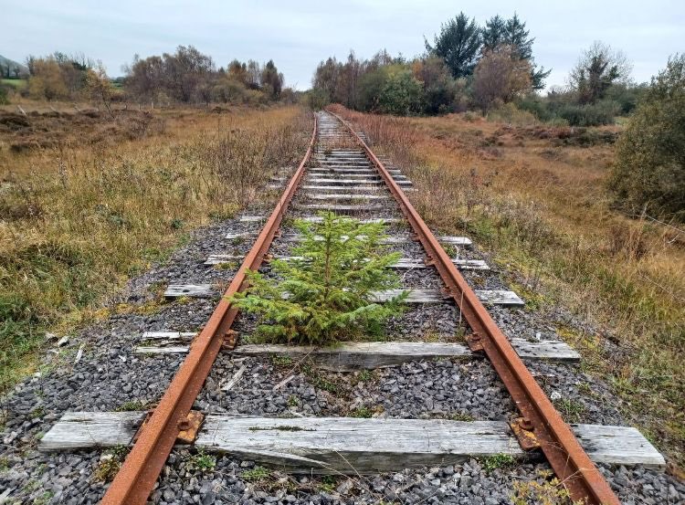 WestOnTrackIRL's tweet photo. #ireland has undergone an economic transformation. Todays workforce equals the total population from the early 70’s. Time to reopen intact #criticalinfrastructure such as the #westernrailcorridor #regionaldevelopment #sligo #mayo #galway #modalshift #connectingthewest https://t.co/ZpjNwYSxne