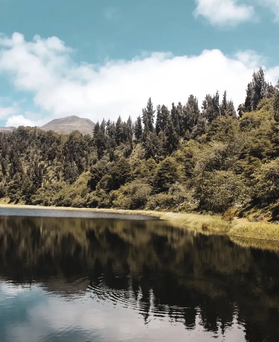 Si ustedes no son de Mérida no tienen derecho a opinar sobre montañas y buena vida…