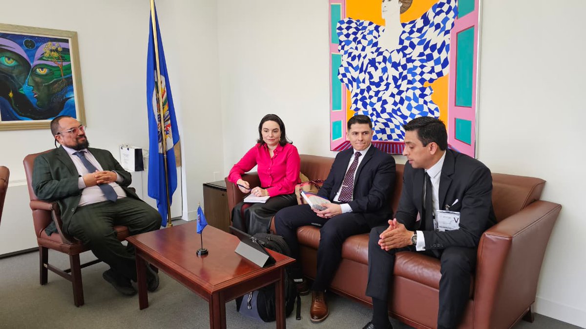 OEA Democracia tweet media