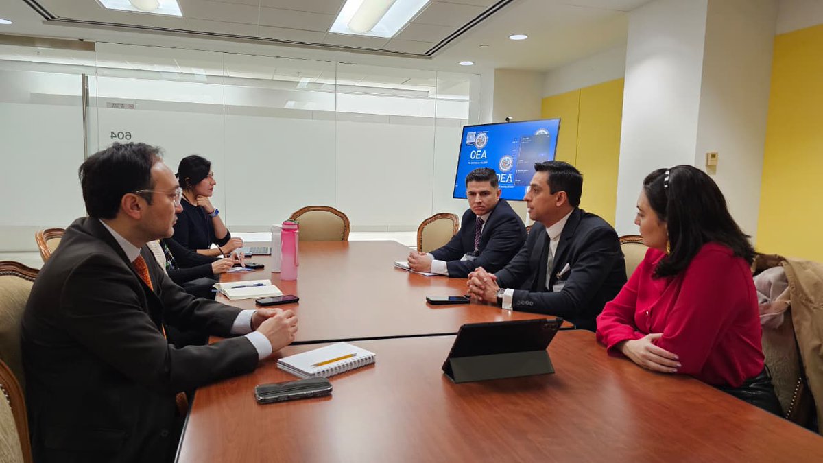 OEA Democracia tweet media