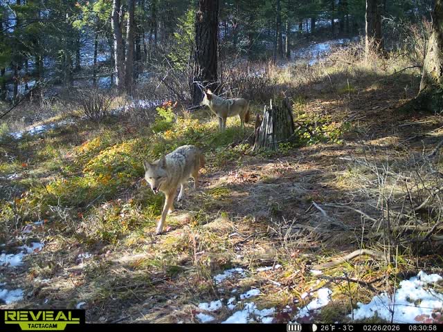 Michael Punke tweet media