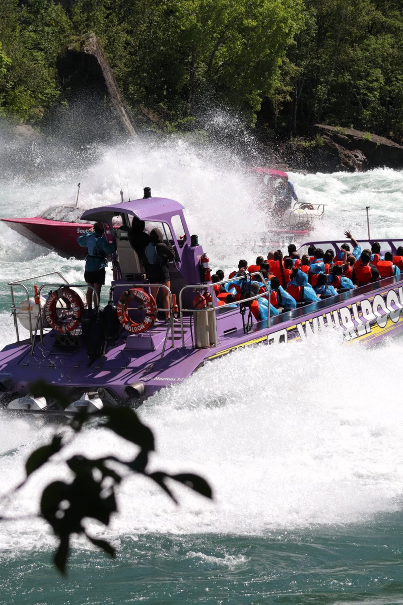 Whirlpool Jet Boat Tours tweet media