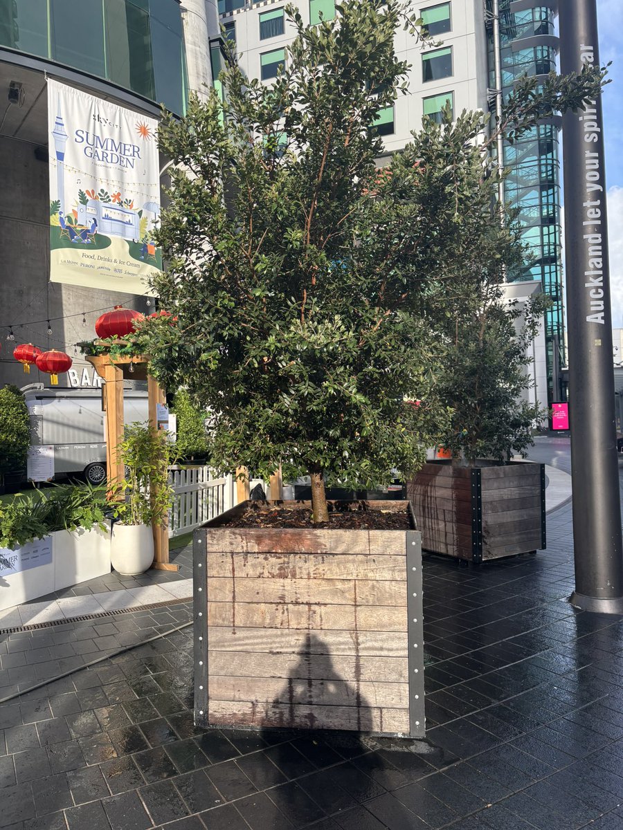 Scott Nickerson tweet media