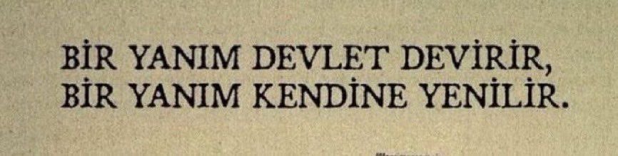 Bürküt. (@hurriyetulan) on Twitter photo 