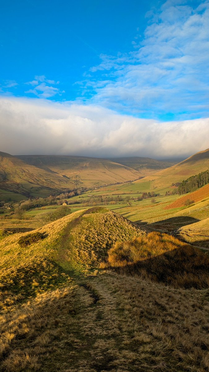 Sarah Lister tweet media