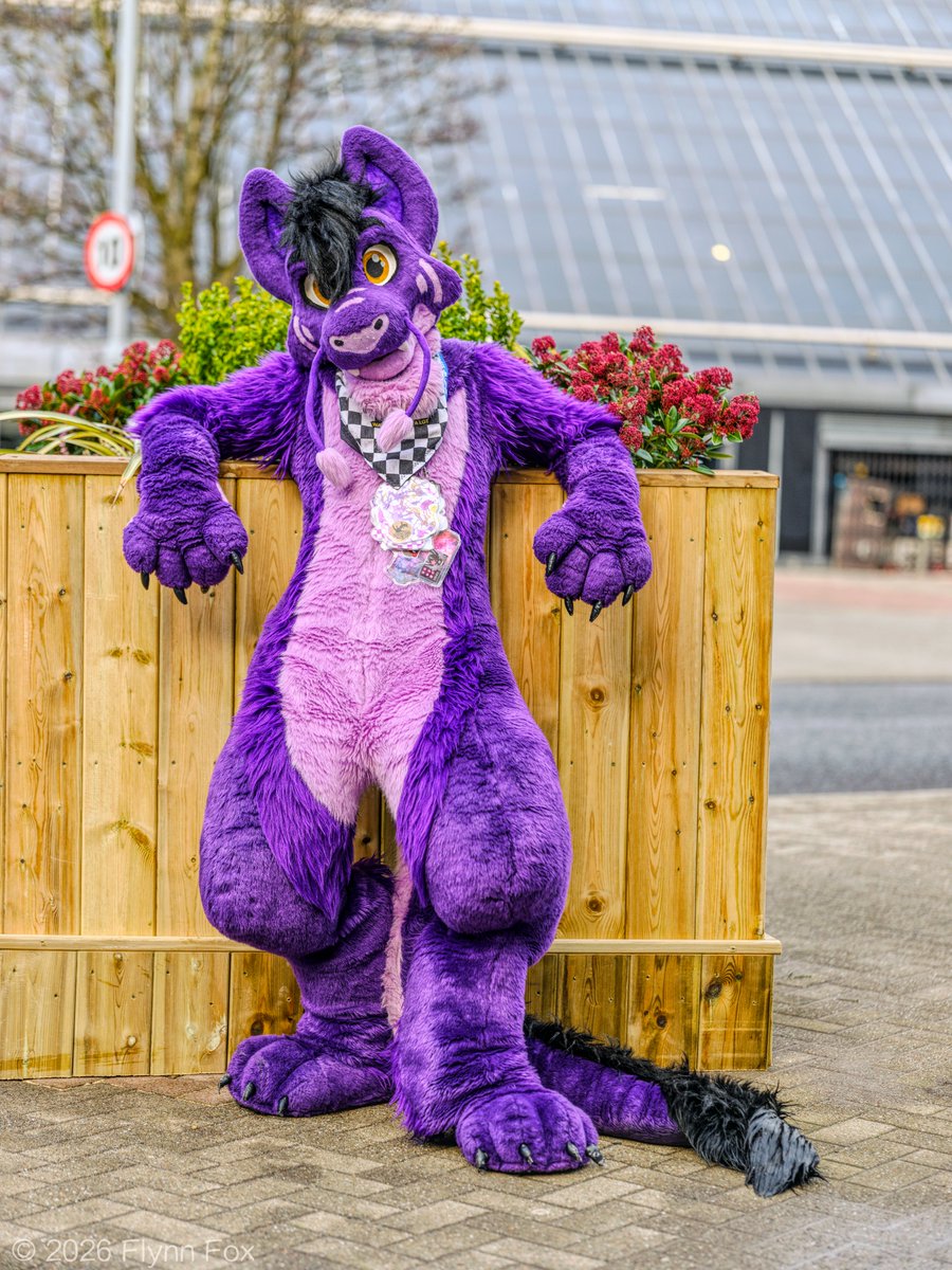 Kypari Noodl 💜 tweet media