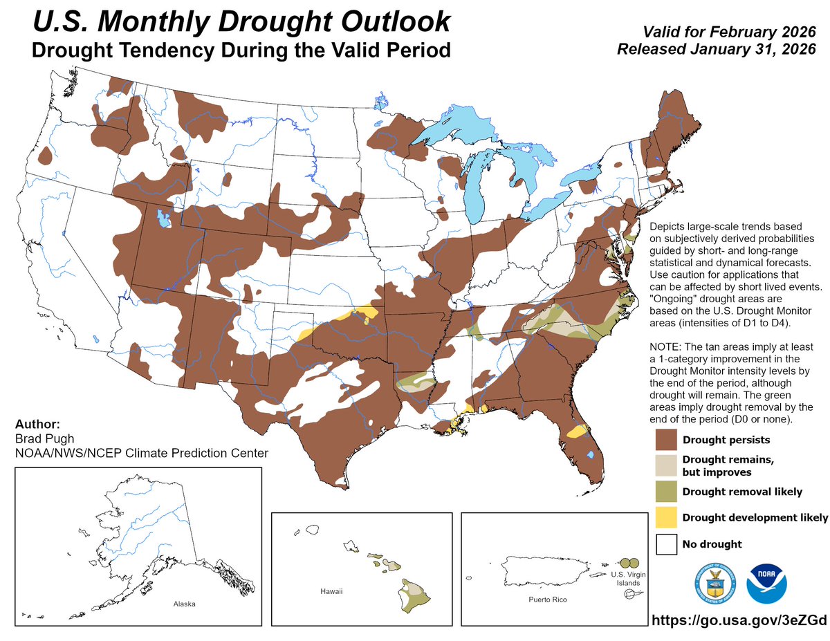 Frostyfrog ❄️🌨️ Artistフロスティ 🎨 tweet media
