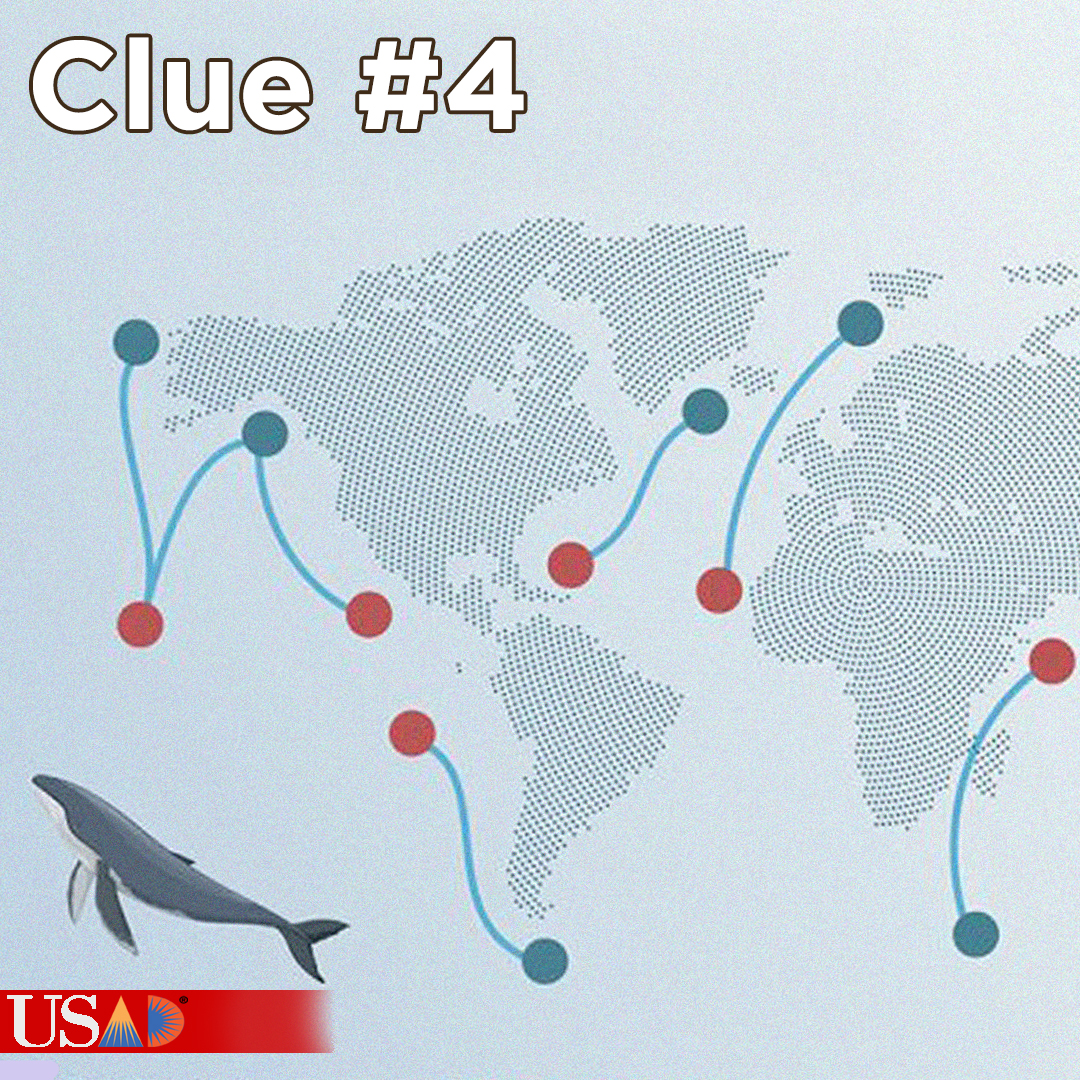 United States Academic Decathlon tweet media