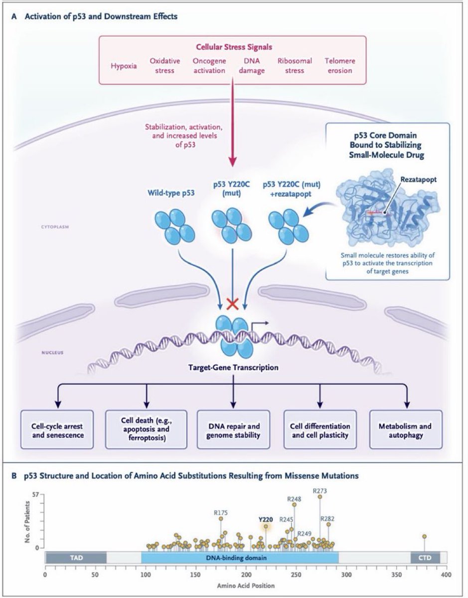 Yüksel Ürün tweet media