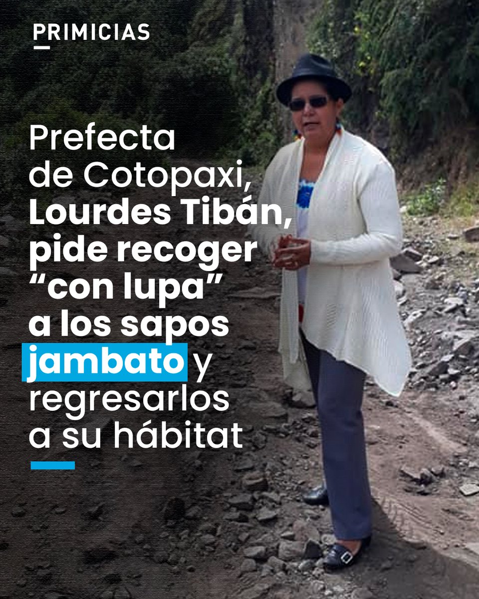 Primicias tweet media