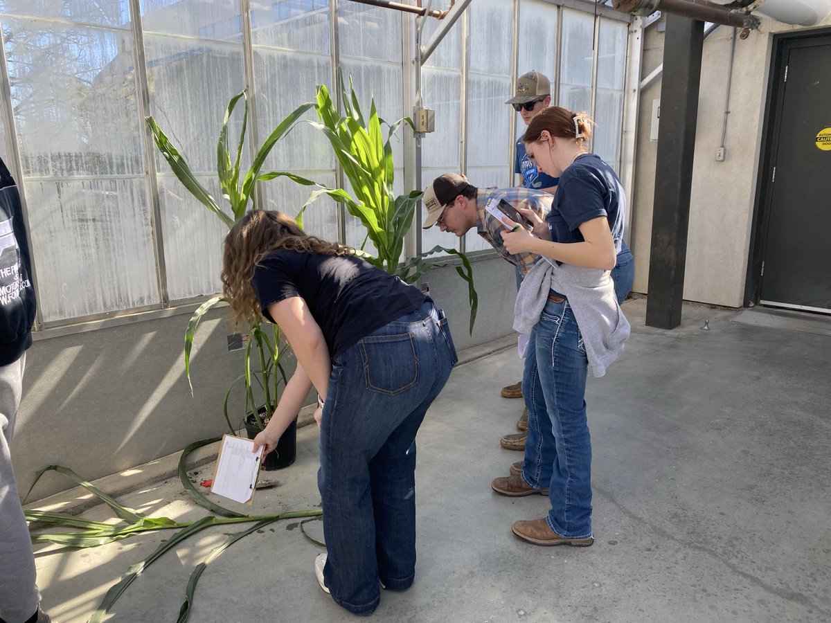 Rachel Cott tweet media