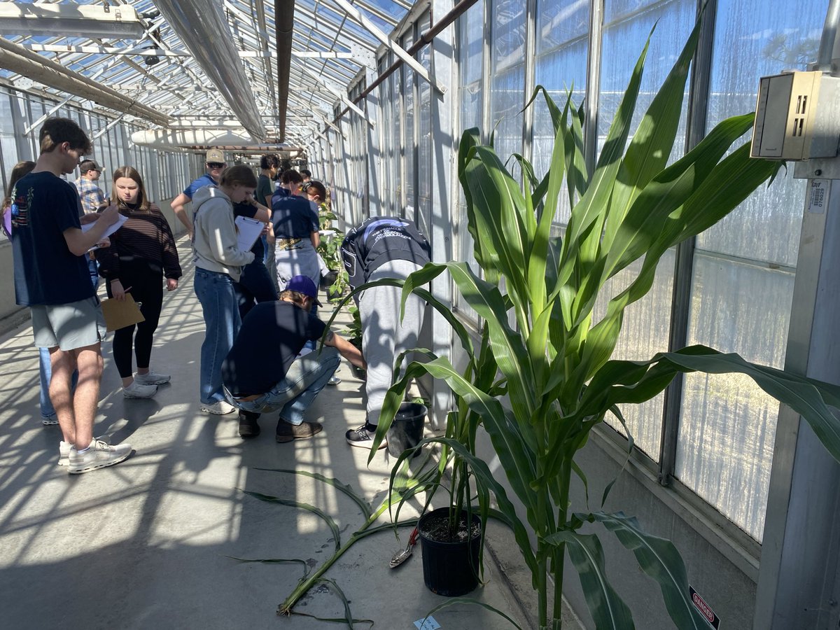 Rachel Cott tweet media