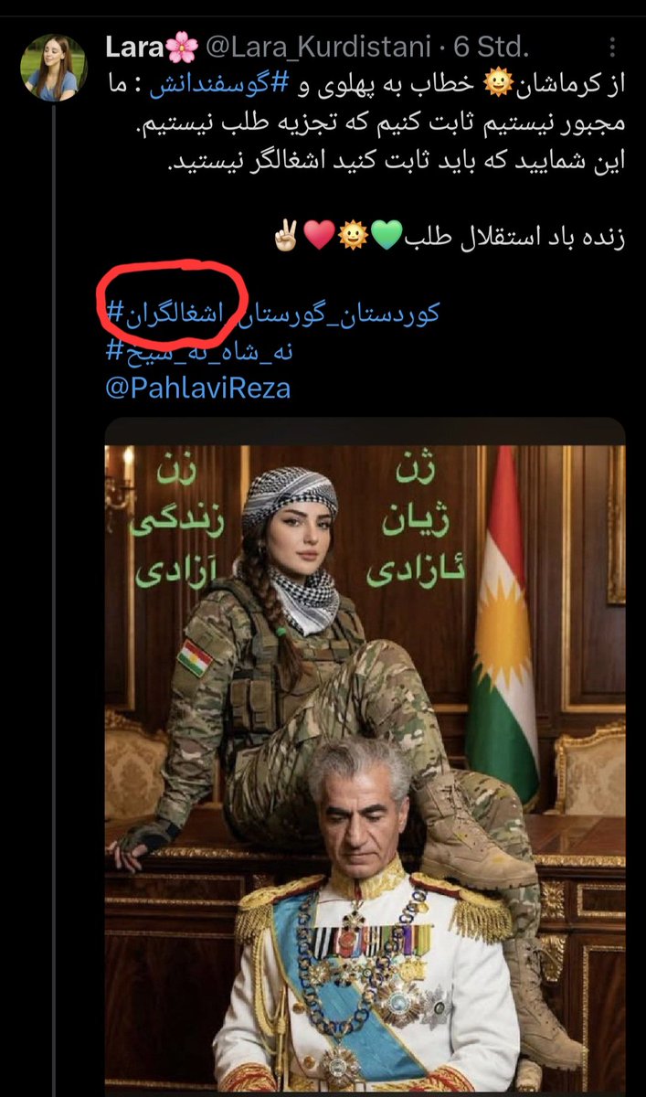 Shahab Sheikhi tweet media