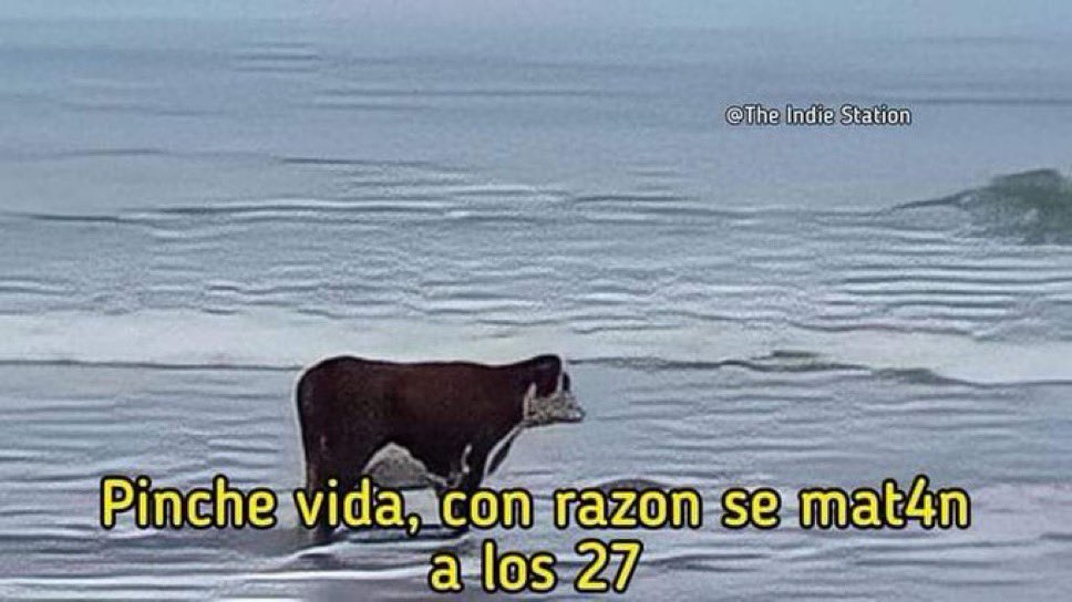 🌙 mini textos (@soyminitextos) on Twitter photo 