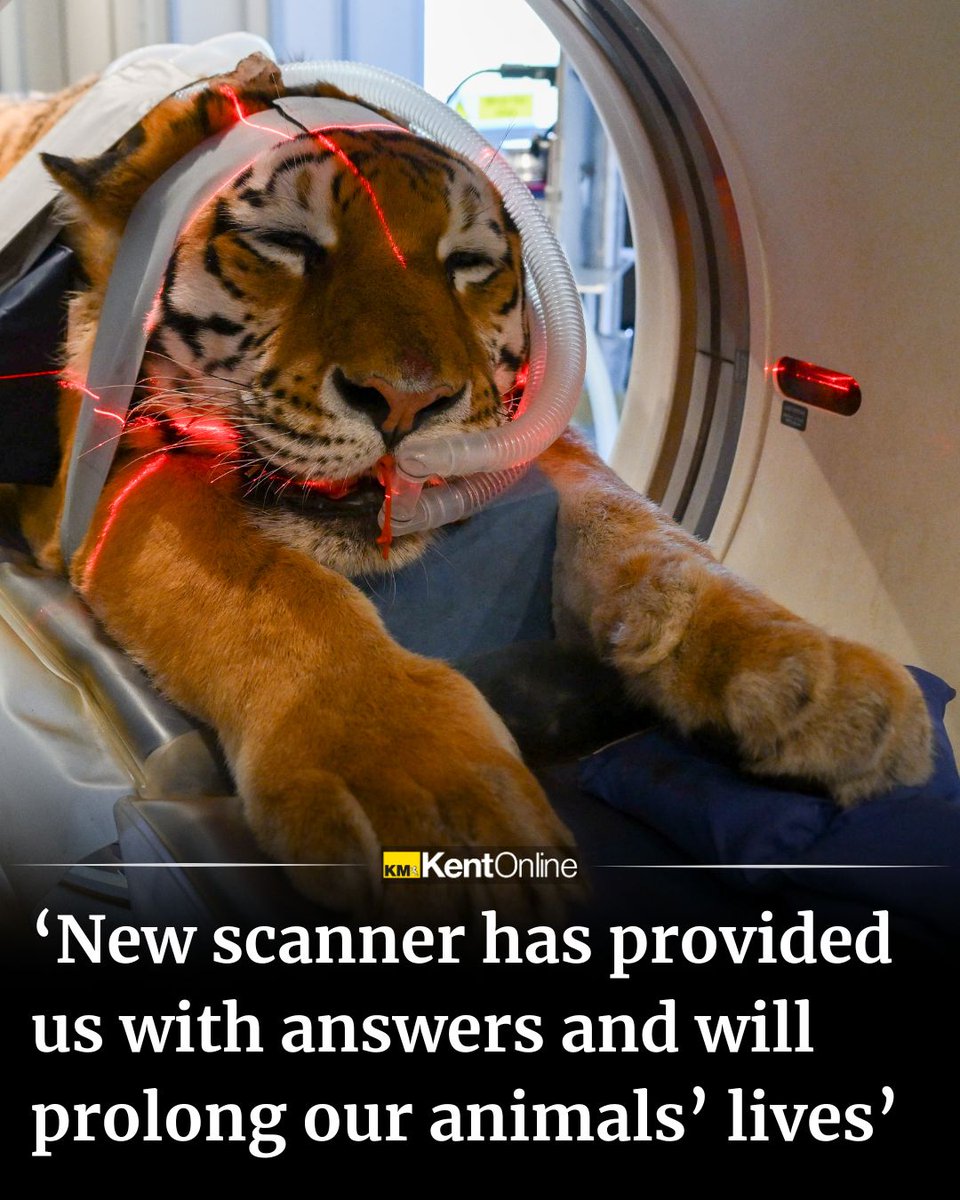 Kentish Express tweet media