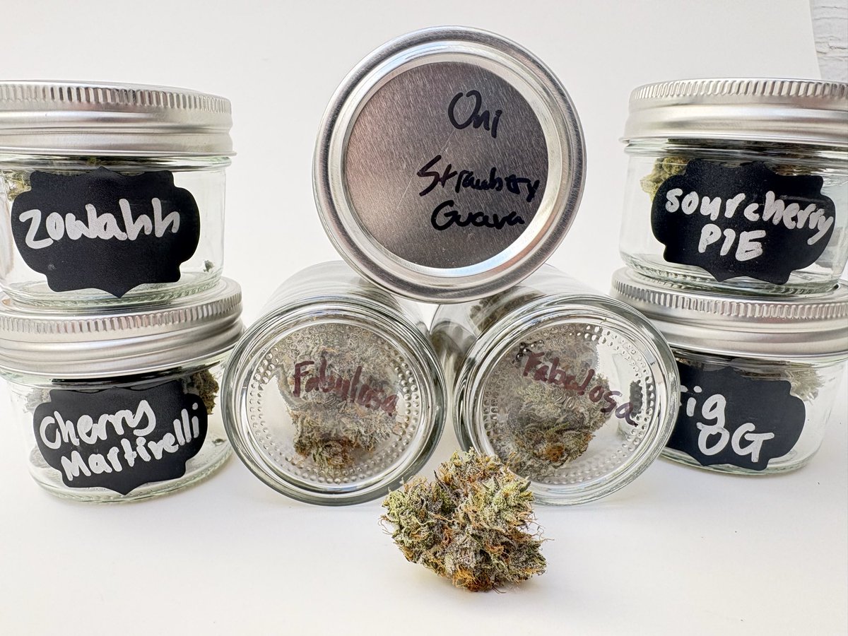 David Downs tweet media