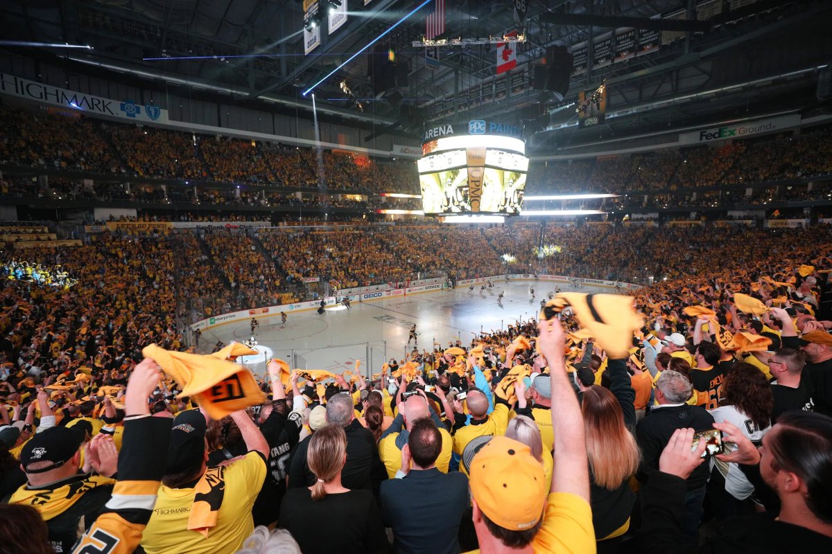 Andrew Fillipponi tweet media