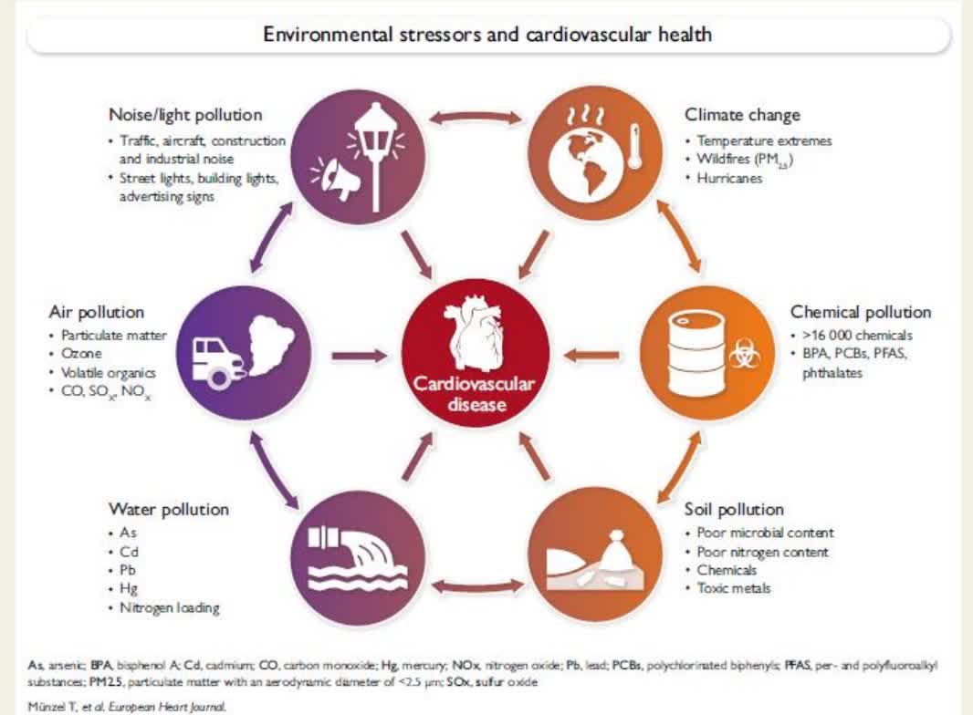 CircAHA's tweet photo. #SpecialArticle: Statement of ESC, ACC, AHA, and WHF on environmental stressors and CV health. Environmental stressors contribute to CVD through shared pathways involving oxidative stress, inflammation, and endothelial dysfunction. https://t.co/IMfUqvzIf7 https://t.co/N72zvmW0It