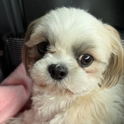 #新しいプロフィール画像