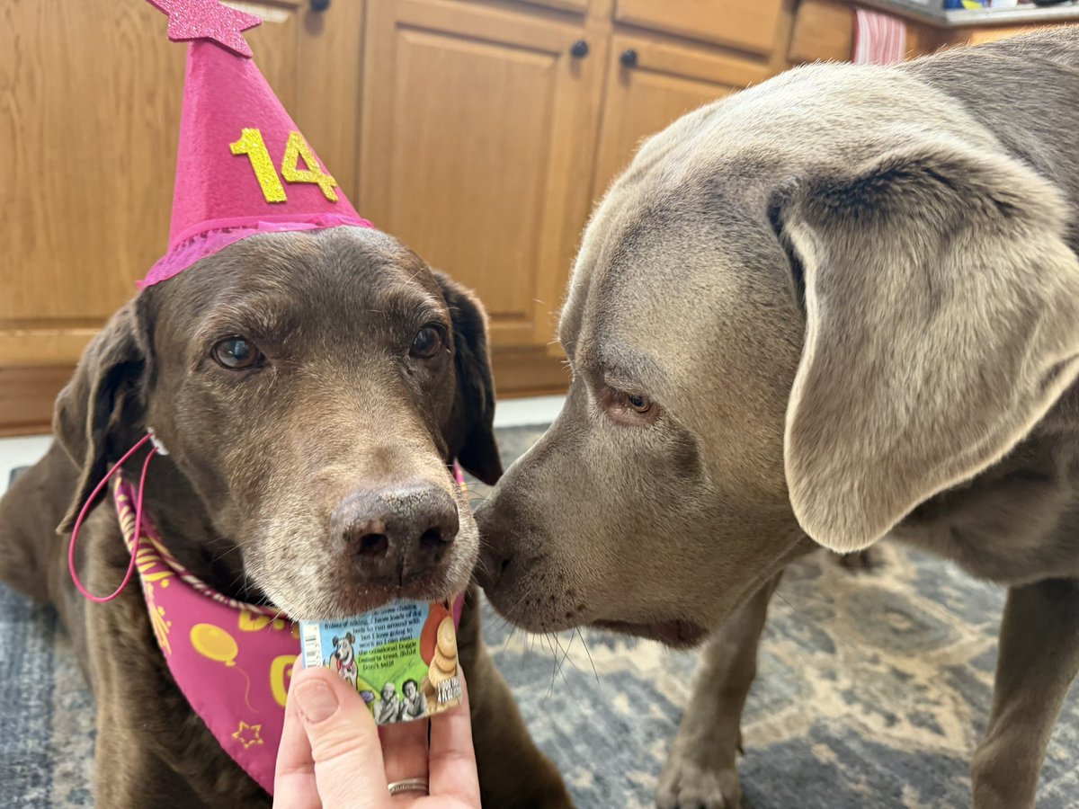 Jackson & Willow tweet media