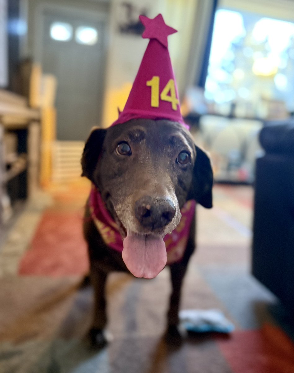 Jackson & Willow tweet media