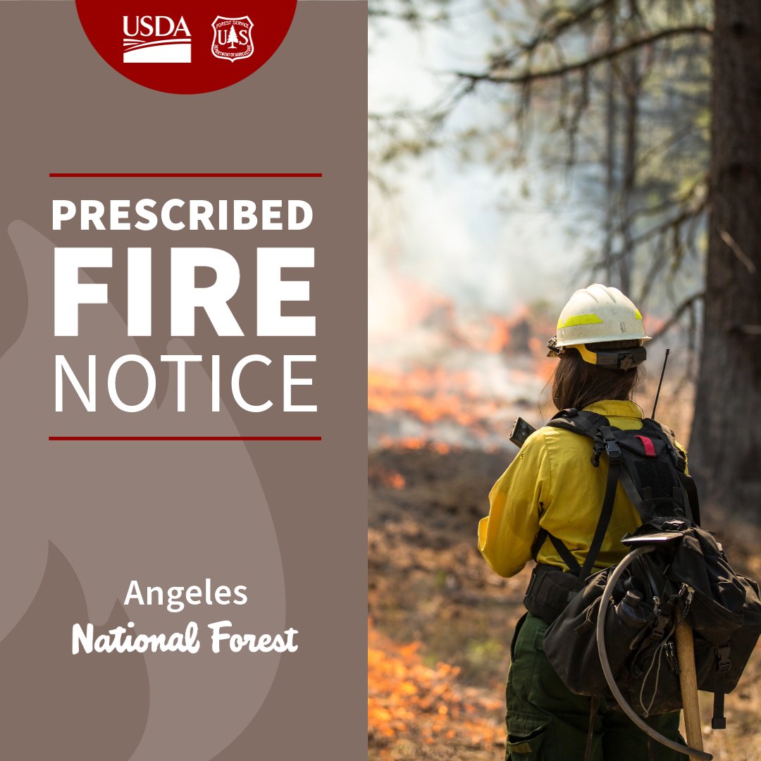 Angeles National Forest tweet media