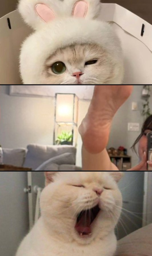 me and who tweet media