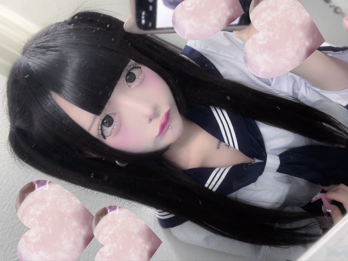 Post by チワワちゃん on X: ワホー