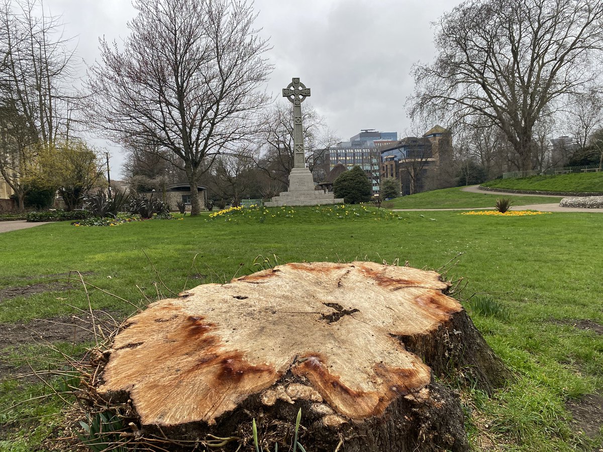 David Cook tweet media