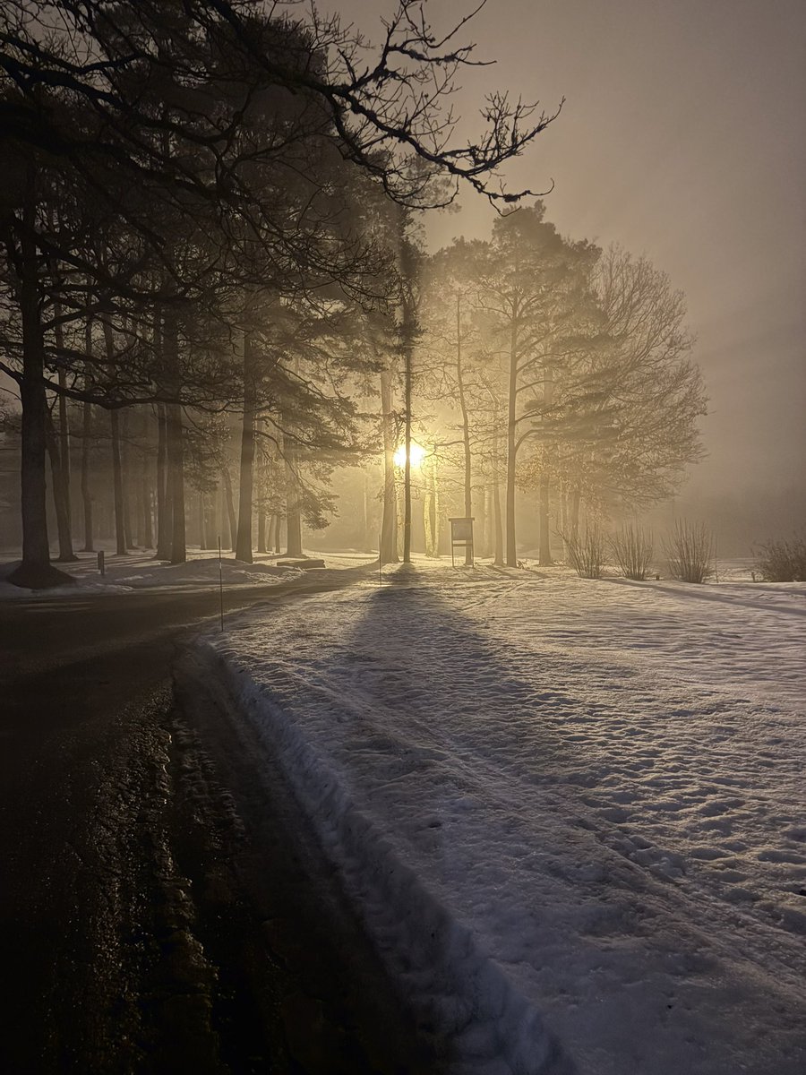 Sunny ☀✨ tweet media