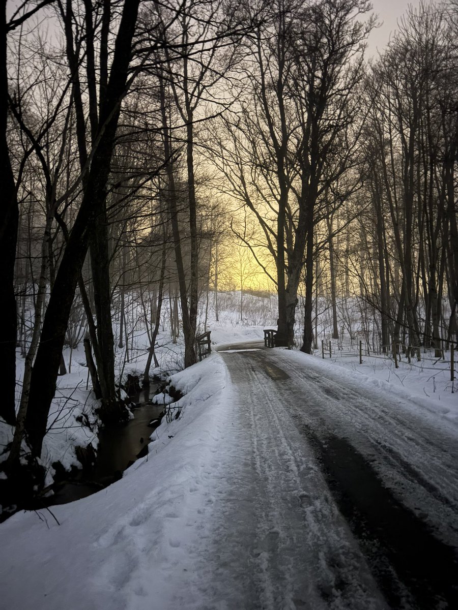 Sunny ☀✨ tweet media