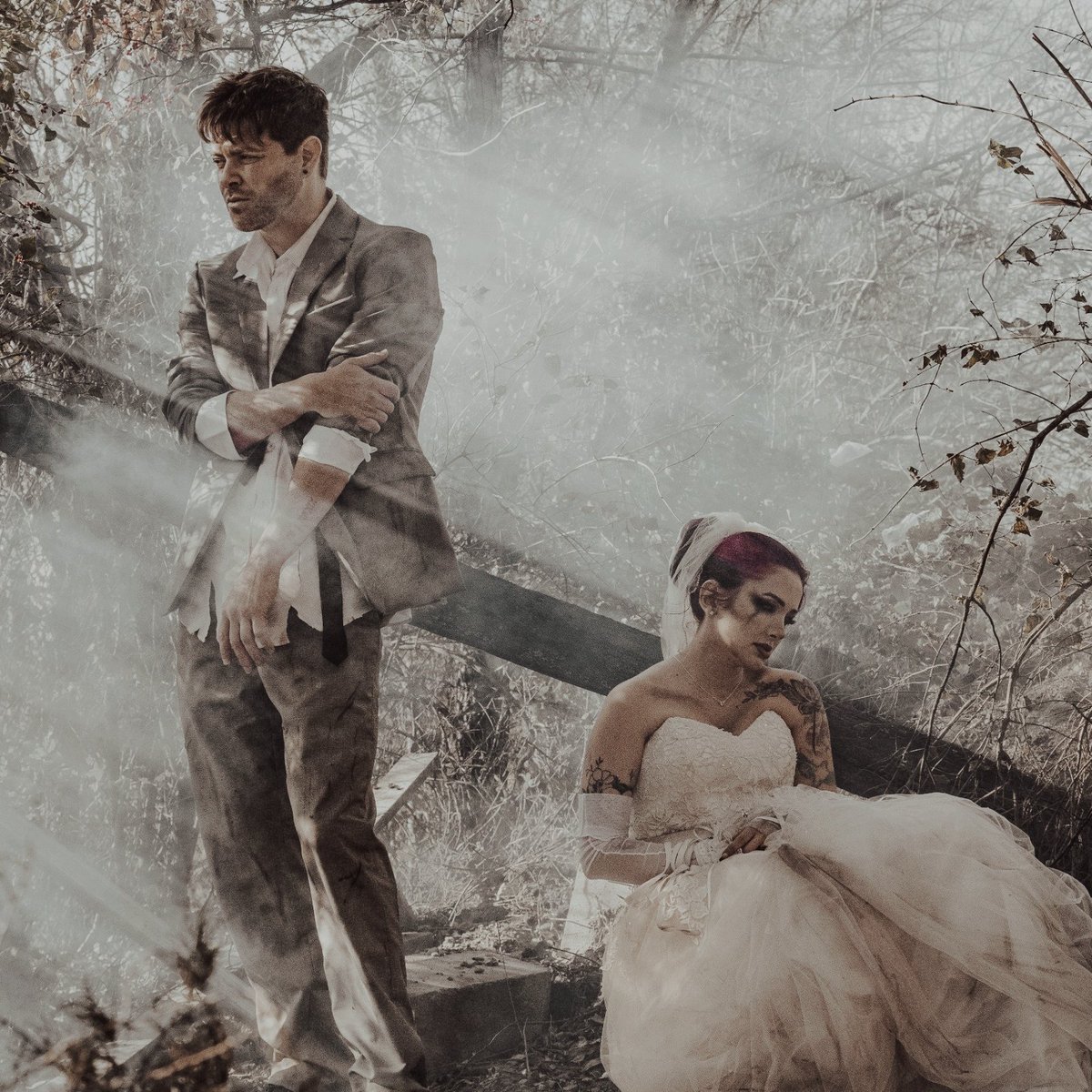 Halocene tweet media