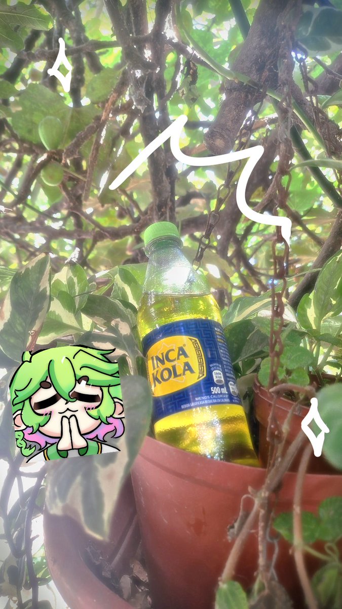 ✧𝑴𝒐𝒏𝒐𝒌𝒐 𝑳𝒐𝒏𝒌𝒂𝒓𝒅✧✨🍃 tweet media