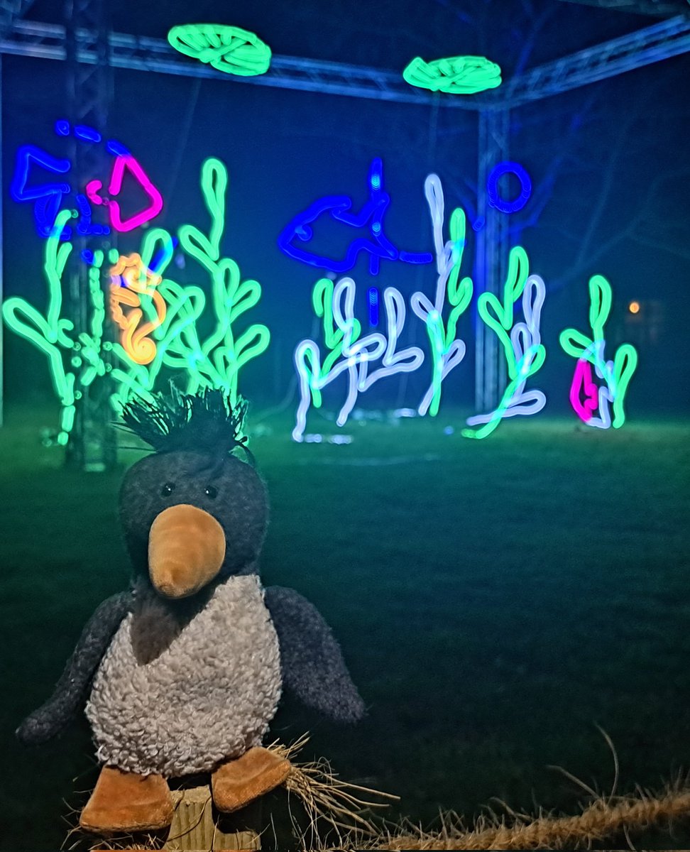 Gestern hat der #Grugapark ganz wundervoll geleuchtet. Und es gab sogar Füsche 🐟🐠🐡
#Parkleuchten