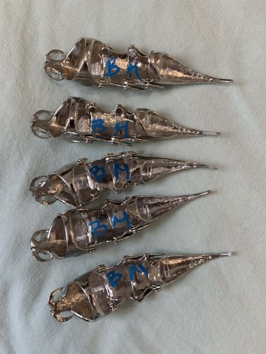 RobFeinstein RFVIDEO tweet media