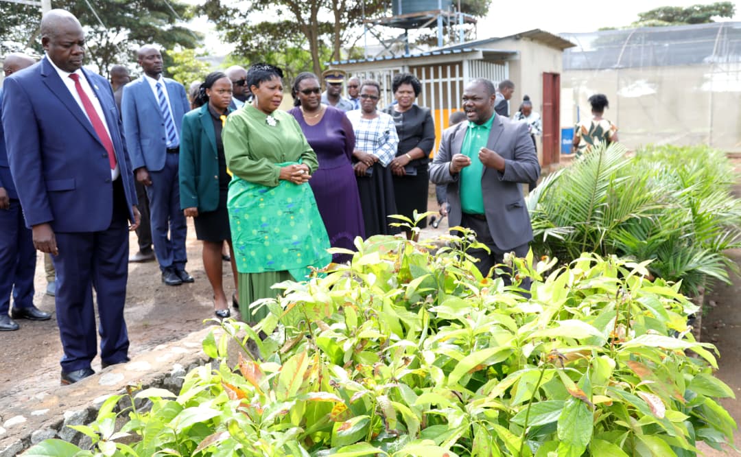 First Lady of Zimbabwe 🇿🇼 tweet media