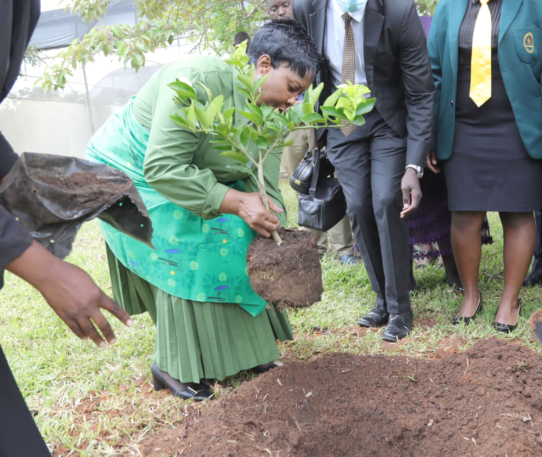 First Lady of Zimbabwe 🇿🇼 tweet media