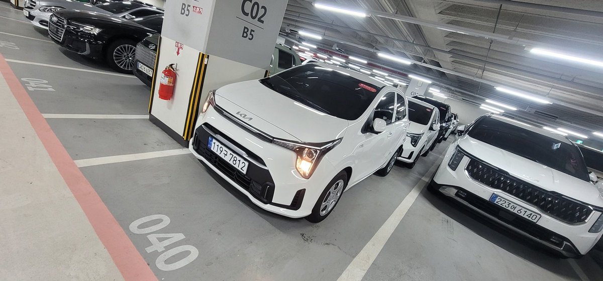 HAILABBAS26's tweet photo. Kia morning 2026
Price 12000$ https://t.co/j6GSNbEVfx