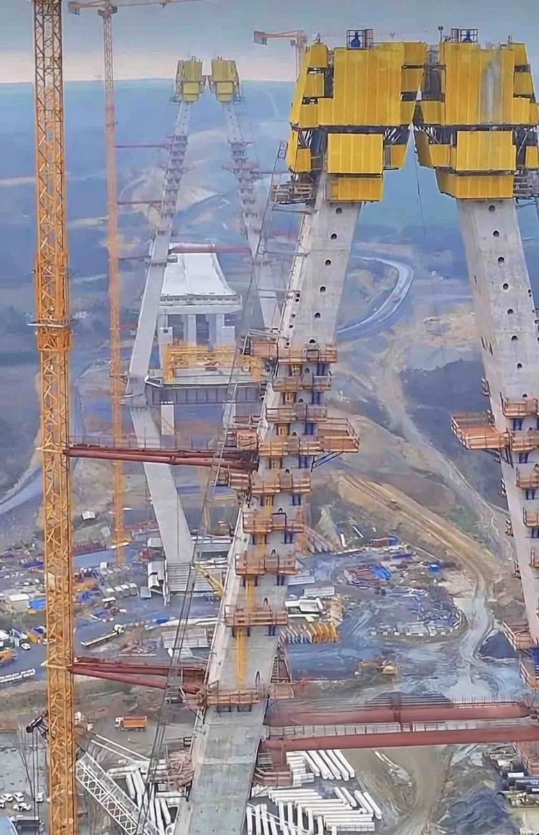 Bolluca Insider tweet media